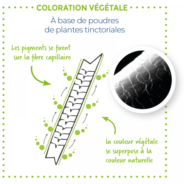 Prestations - L'Atelier Végétal
